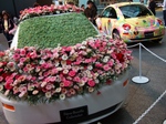 New Beetle Cafe
