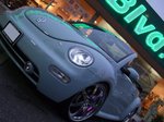 My Beetle