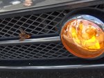 VWFEST06_11