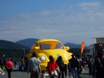 VW Fest 2008
