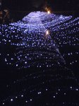 鳩ヶ谷まつり